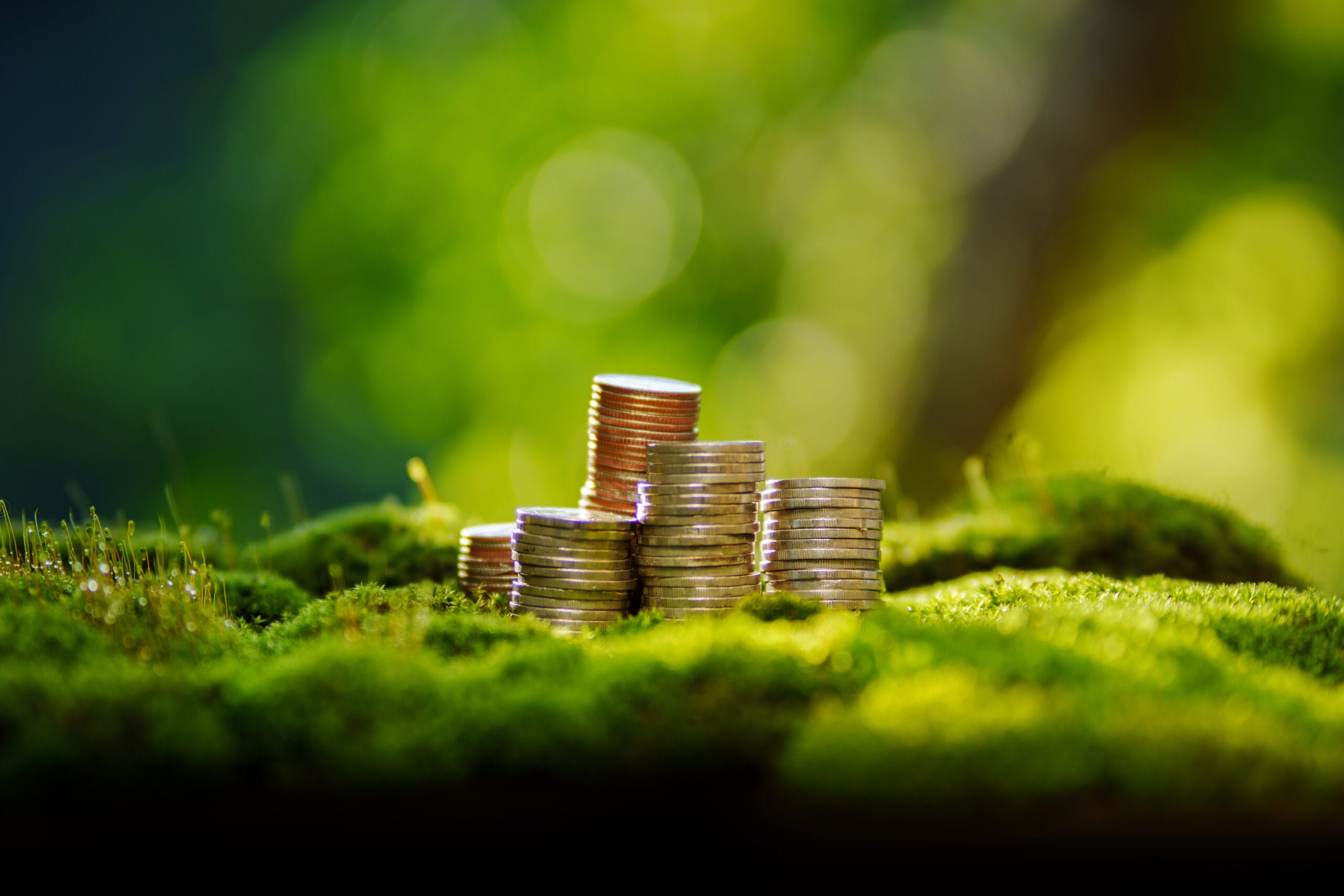 Lening voor verbouwing of verduurzaming? Hier moet je op letten